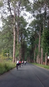 Luso_Sunday_101km_ Irene6